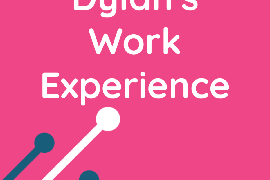 WePurpose Technology - Managed IT Services for Small Businesses - Scotland - Dylands Work Experience